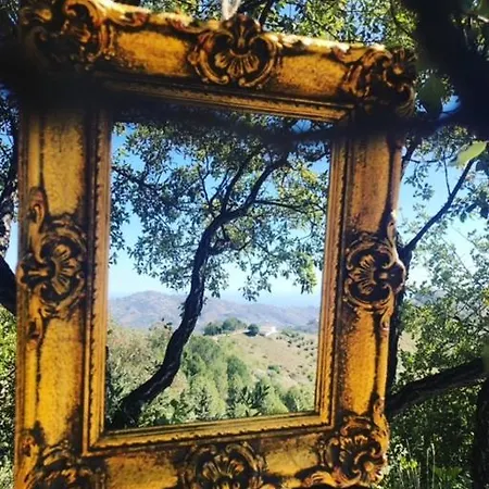 Casita Buena Vista