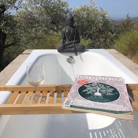 Alojamento de Turismo Selvagem Casita Buena Vista Canillas de Albaida